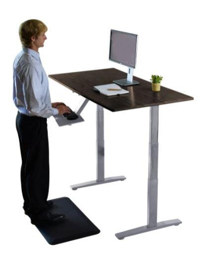 Premier 52" Silver Dual Motor Electric Office Adjustable Standing Desk - AFS