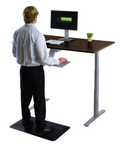 Premier 52" Silver Dual Motor Electric Office Adjustable Standing Desk - AFS