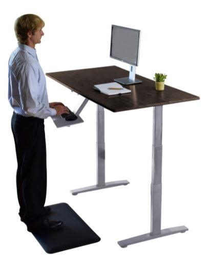 Premier 52" White Dual Motor Electric Office Adjustable Standing Desk - AFS