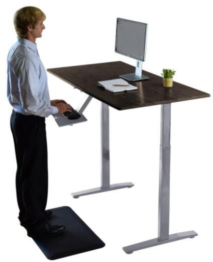 Premier 45" Gray Dual Motor Electric Office Adjustable Standing Desk - AFS