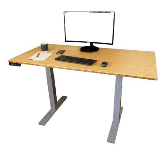 Gray and Natural Bamboo 52" Dual Motor Electric Office Adjustable Computer Desk - AFS