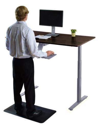 Gray and Black 52" Bamboo Dual Motor Electric Office Adjustable Computer Desk - AFS