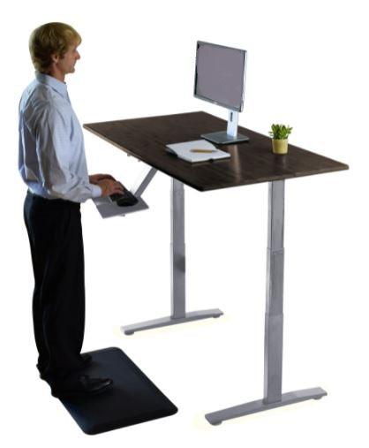 Gray and Black 52" Bamboo Dual Motor Electric Office Adjustable Computer Desk - AFS