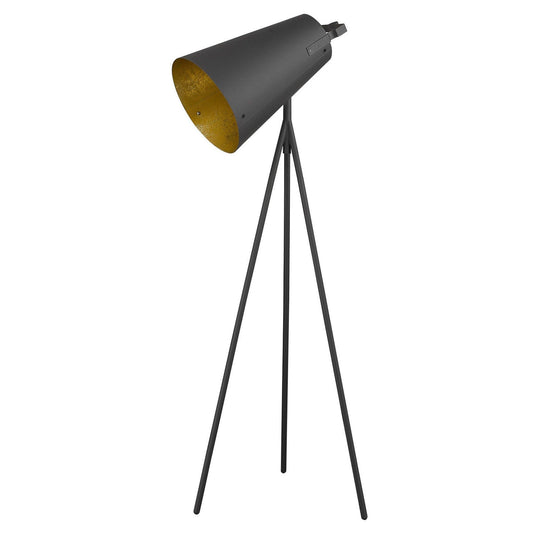 Faza 1-Light Matte Black Floor Lamp - AFS