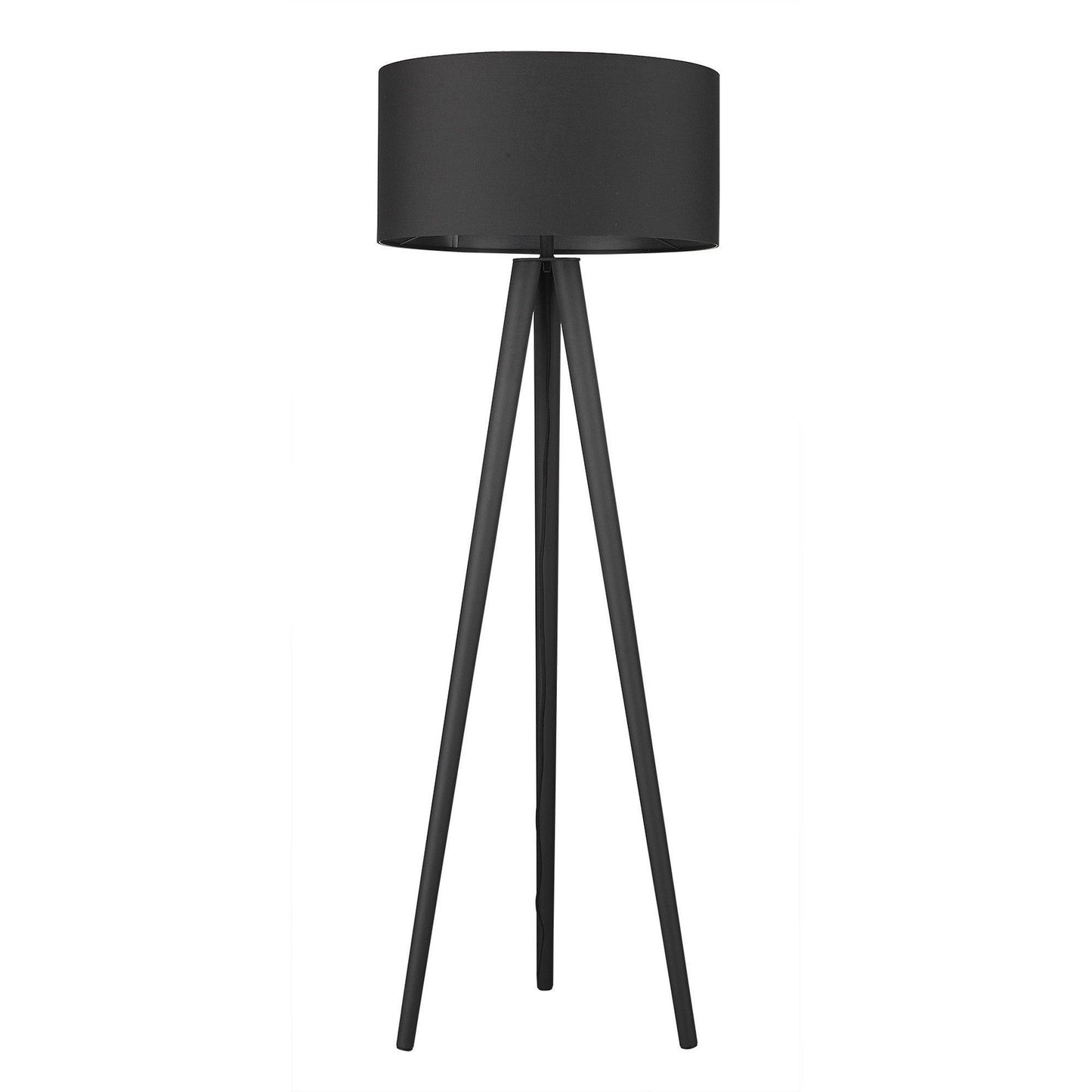 Tourer 1-Light Matte Black Floor Lamp - AFS