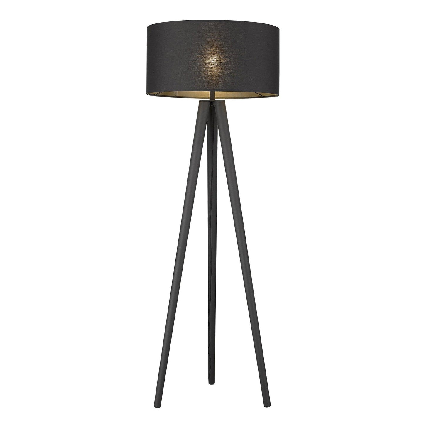 Tourer 1-Light Matte Black Floor Lamp - AFS