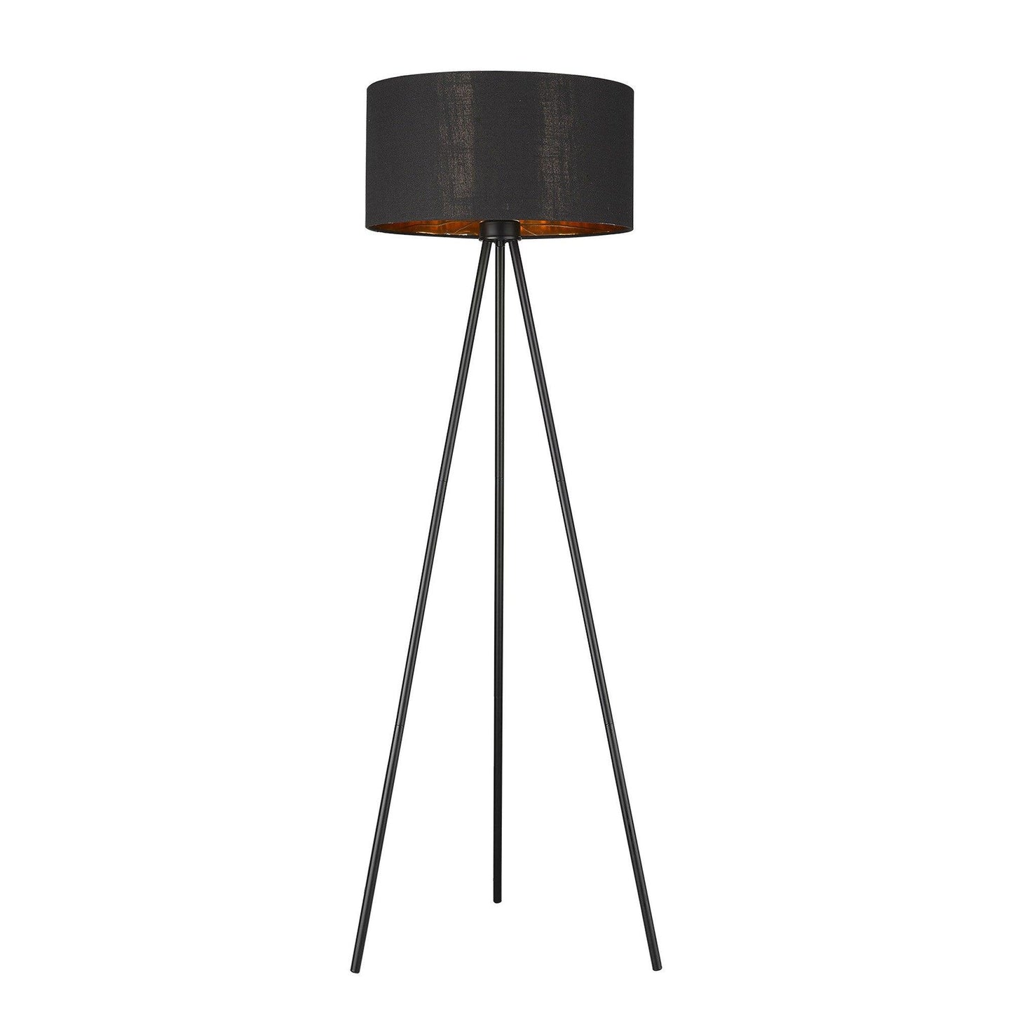 Morenci 1-Light Matte Black Floor Lamp - AFS