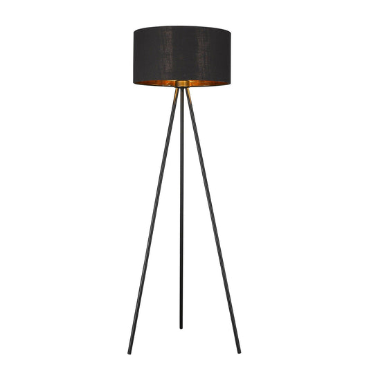 Morenci 1-Light Matte Black Floor Lamp - AFS