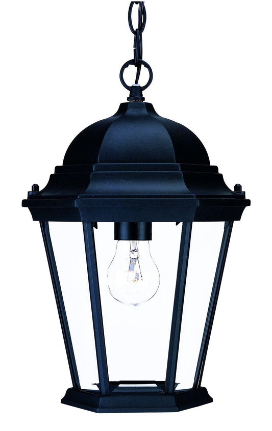 Matte Black Domed Glass Lantern Hanging Light - AFS