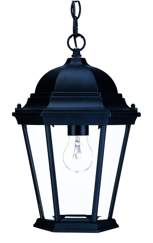 Matte Black Domed Glass Lantern Hanging Light - AFS