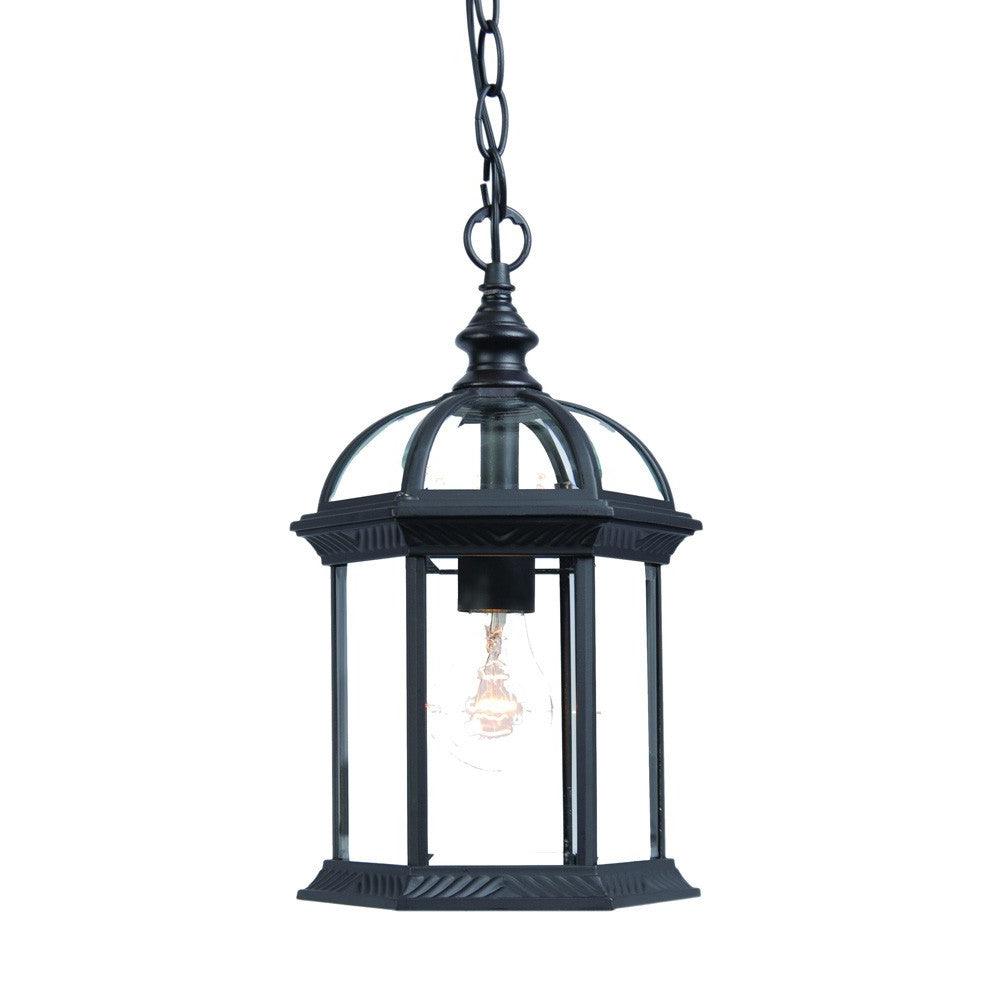 Matte Black Cage Hanging Light - AFS