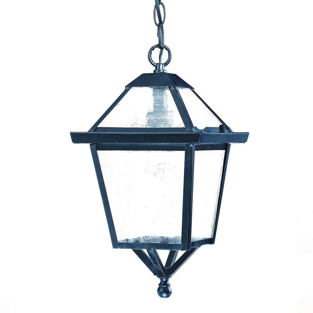 Matte Black Hanging Lantern Light - AFS