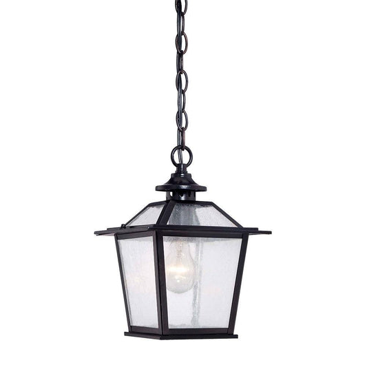 Matte Black Terrarium Shape Hanging Light - AFS