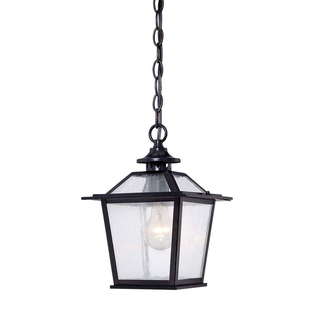 Matte Black Terrarium Shape Hanging Light - AFS