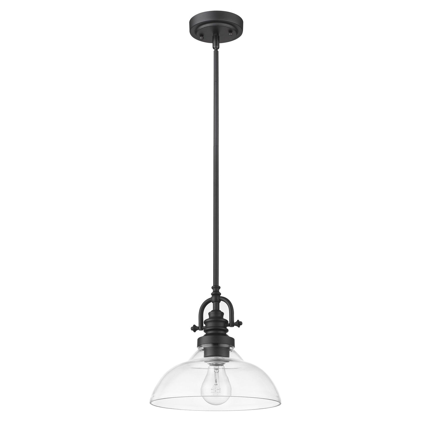 Matte Black Hanging Light with Glass Dome Shade - AFS