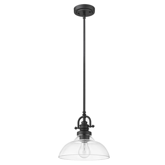 Matte Black Hanging Light with Glass Dome Shade - AFS