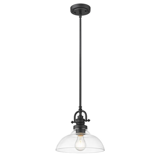 Matte Black Hanging Light with Glass Dome Shade - AFS