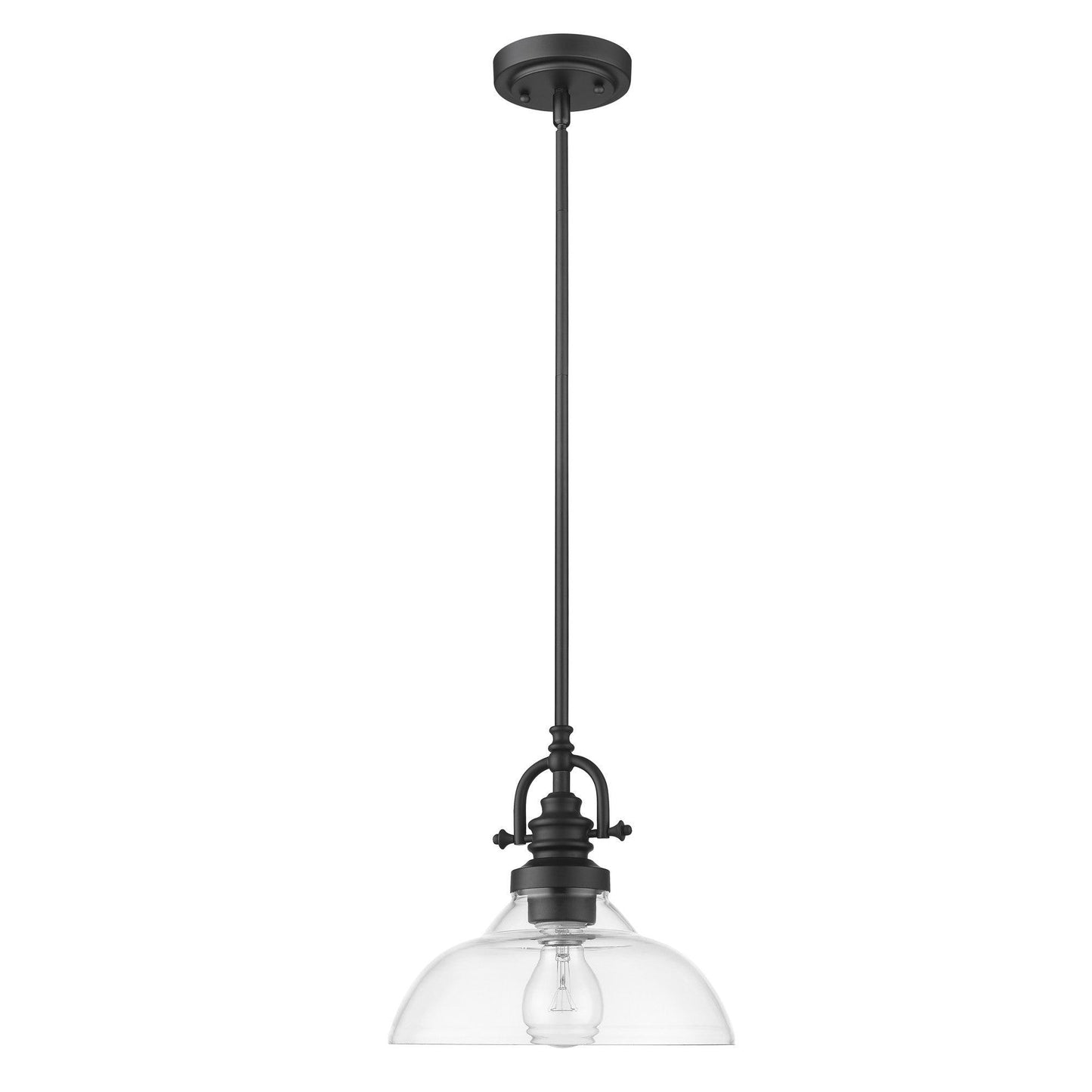 Matte Black Hanging Light with Glass Dome Shade - AFS