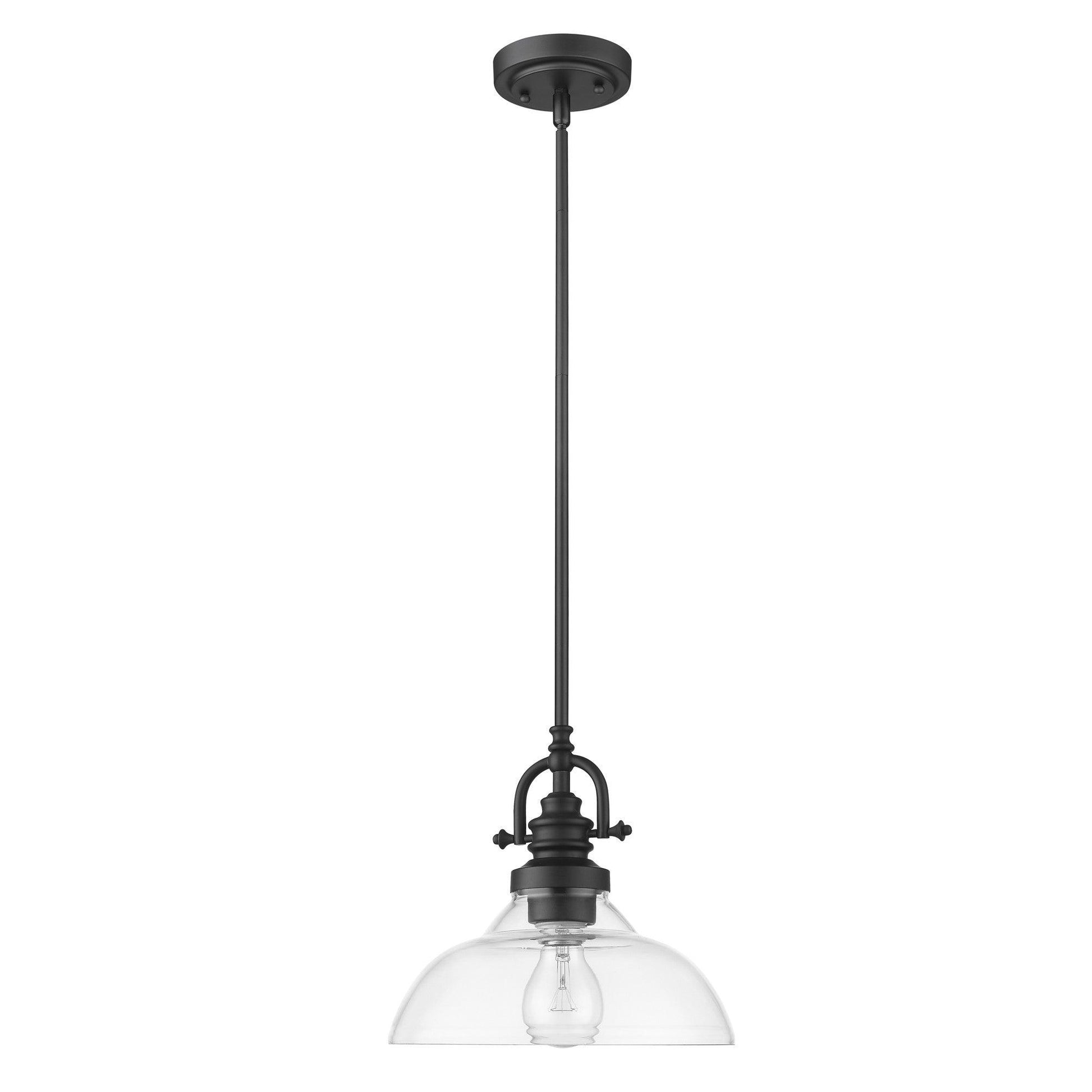 Matte Black Hanging Light with Glass Dome Shade - AFS