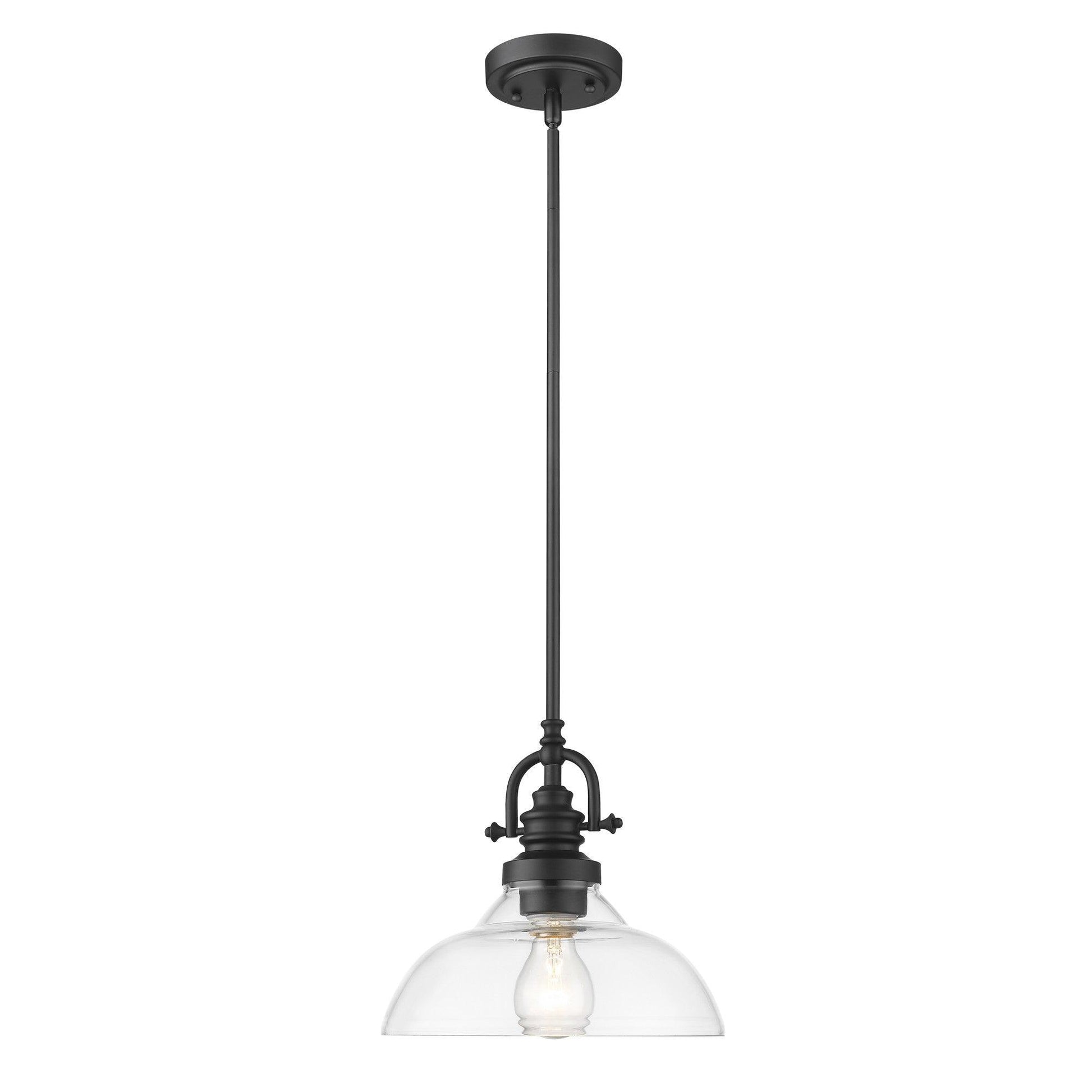 Matte Black Hanging Light with Glass Dome Shade - AFS