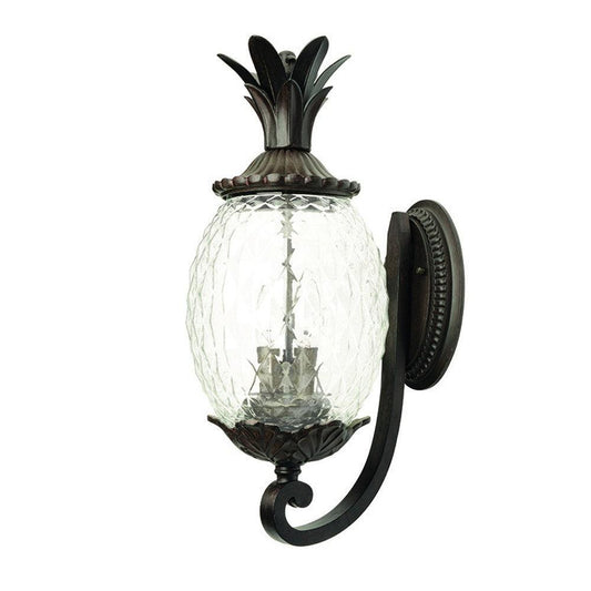 Lanai 3-Light Black Coral Wall Light - AFS