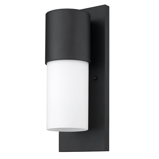 Contemporary Matte Black and White Wall Light - AFS