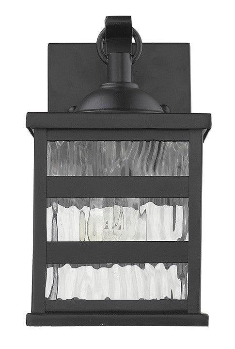 Glass panel Matte Black Outdoor Cage Light - AFS