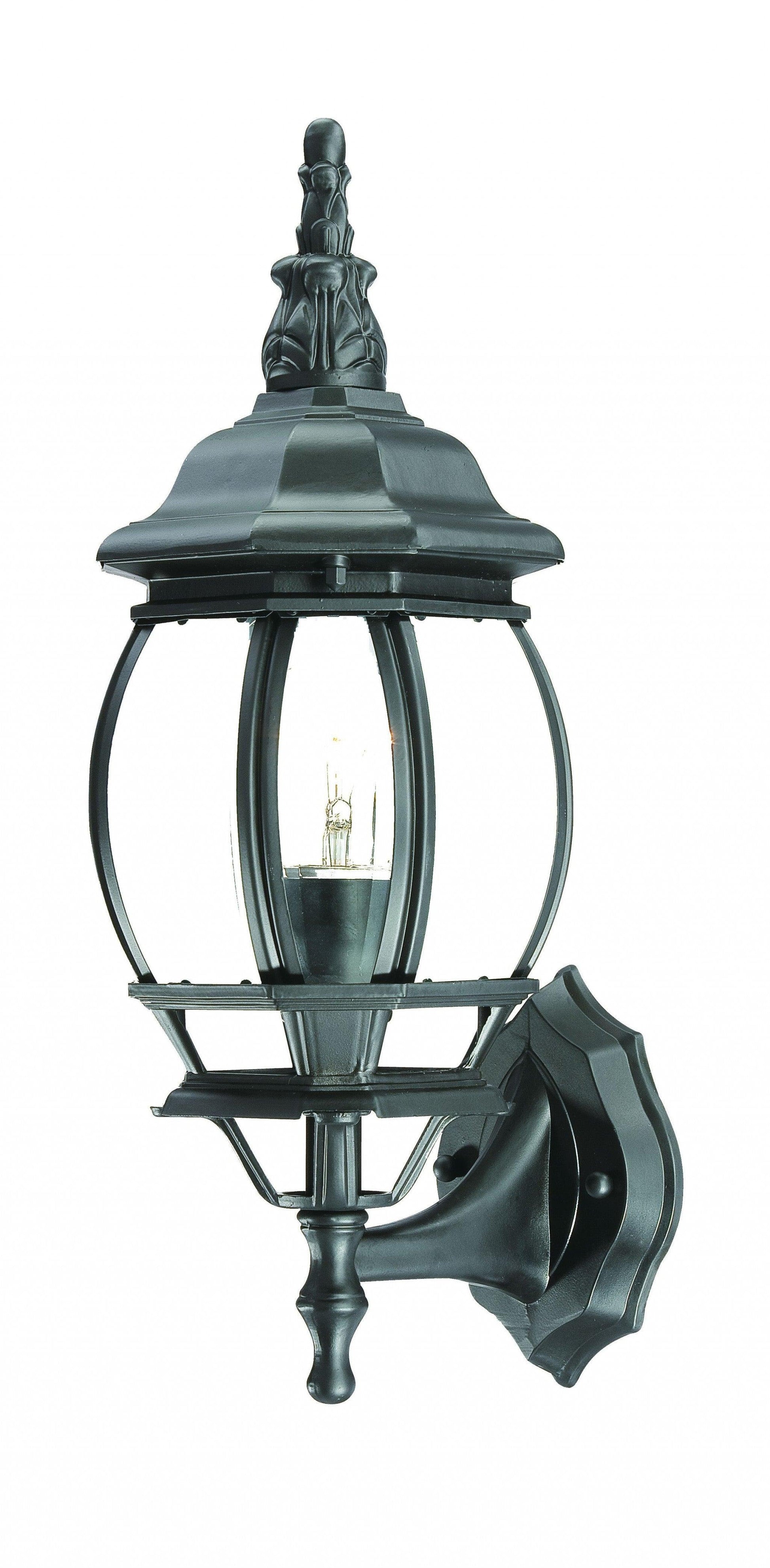 Matte Black Ornamental Glass Globe Wall Light - AFS