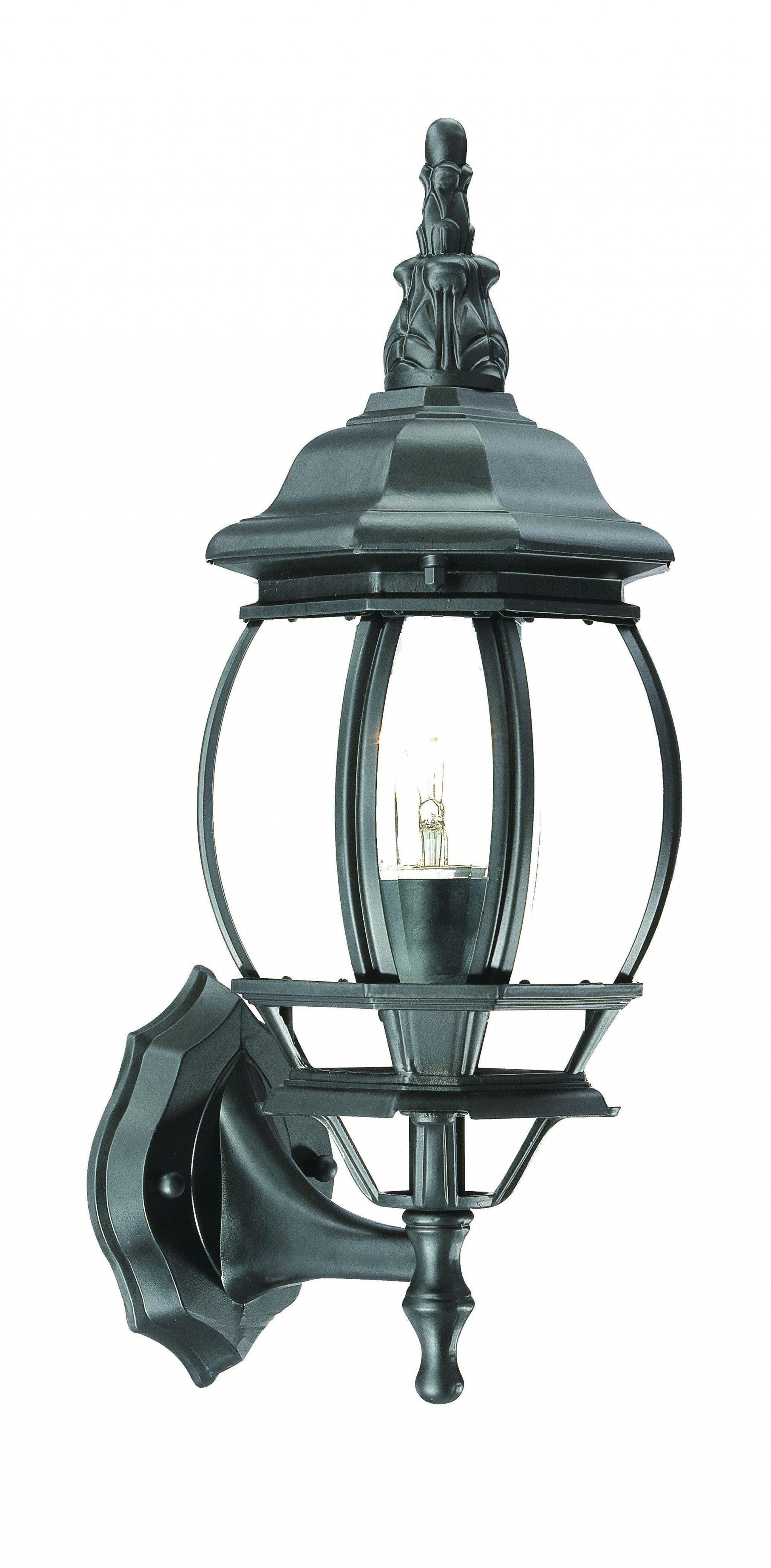 Matte Black Ornamental Glass Globe Wall Light - AFS