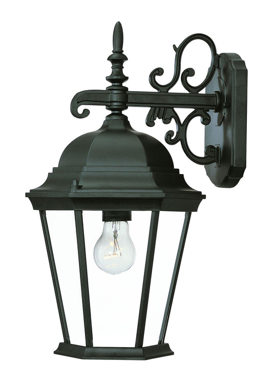 Matte Black Domed Glass Hanging Lantern Wall Light - AFS