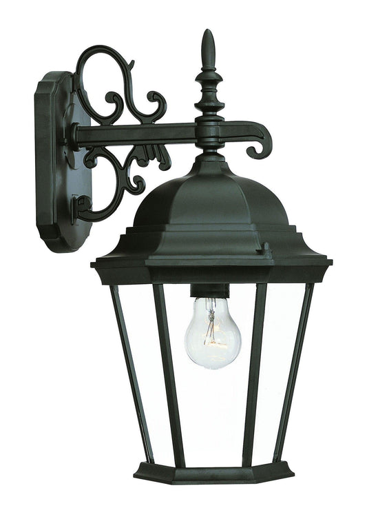 Matte Black Domed Glass Hanging Lantern Wall Light - AFS