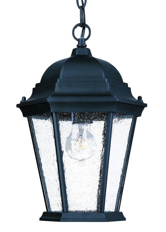 Matte Black Domed Lantern Hanging Light - AFS