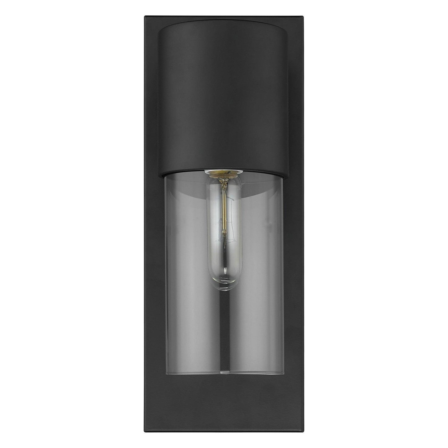 Contemporary Matte Black and Glass Wall Light - AFS