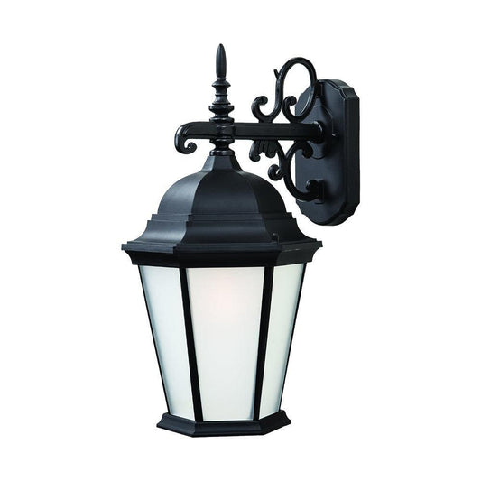 Matte Black Domed Hanging Lantern Wall Light - AFS