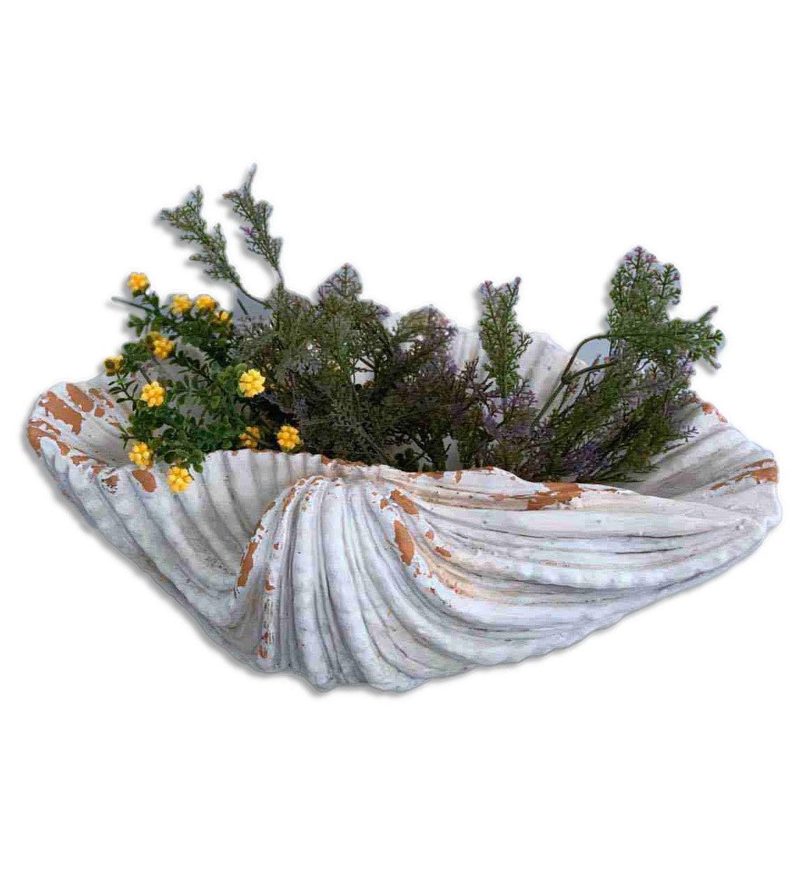 6" Distressed Cream and Terra Cotta Scallop Shell Planter - AFS