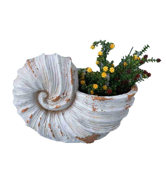 9" Distressed Cream and Terra Cotta Conch Shell Planter - AFS