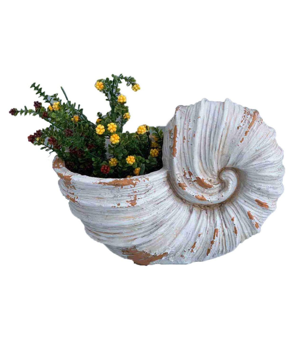 9" Distressed Cream and Terra Cotta Conch Shell Planter - AFS