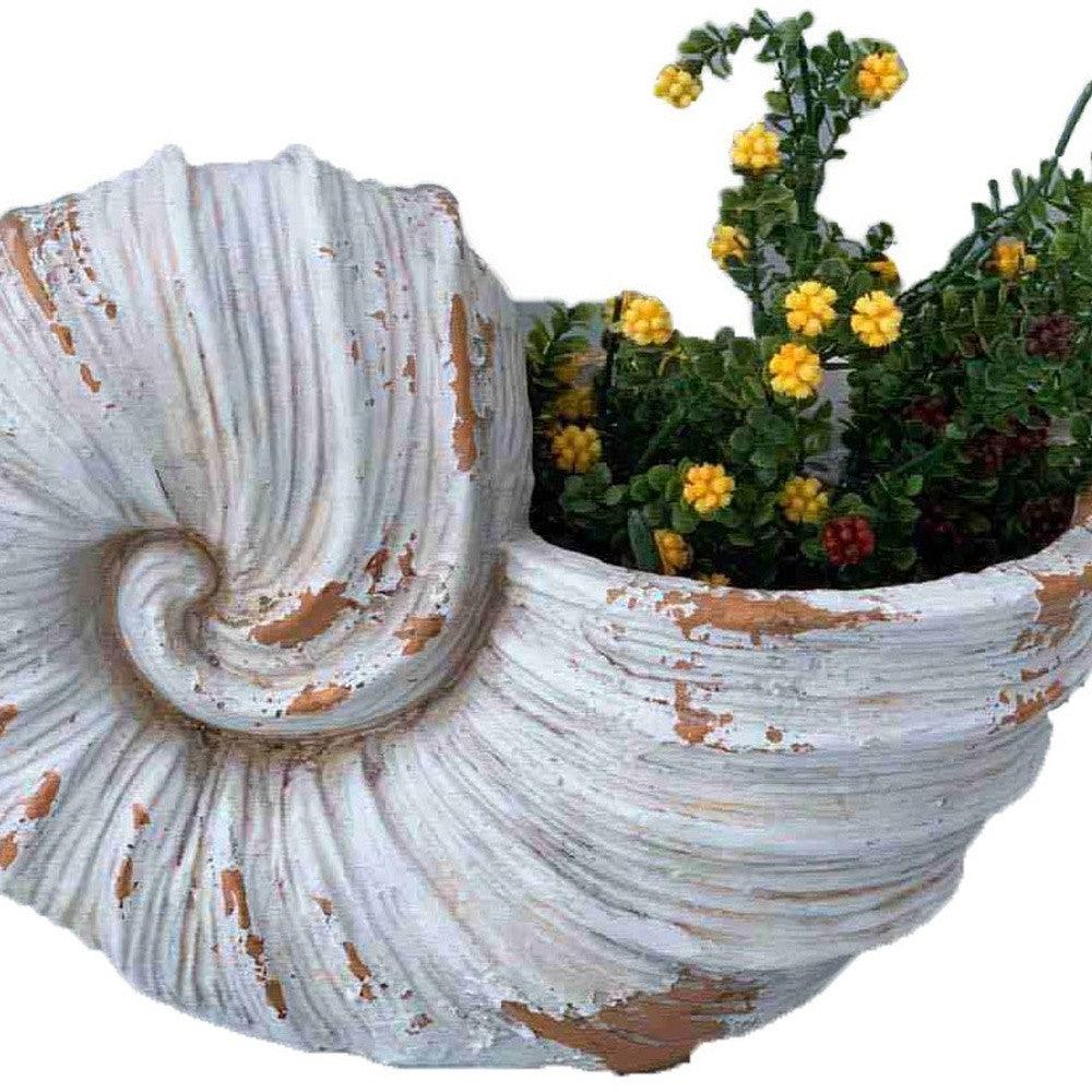 9" Distressed Cream and Terra Cotta Conch Shell Planter - AFS