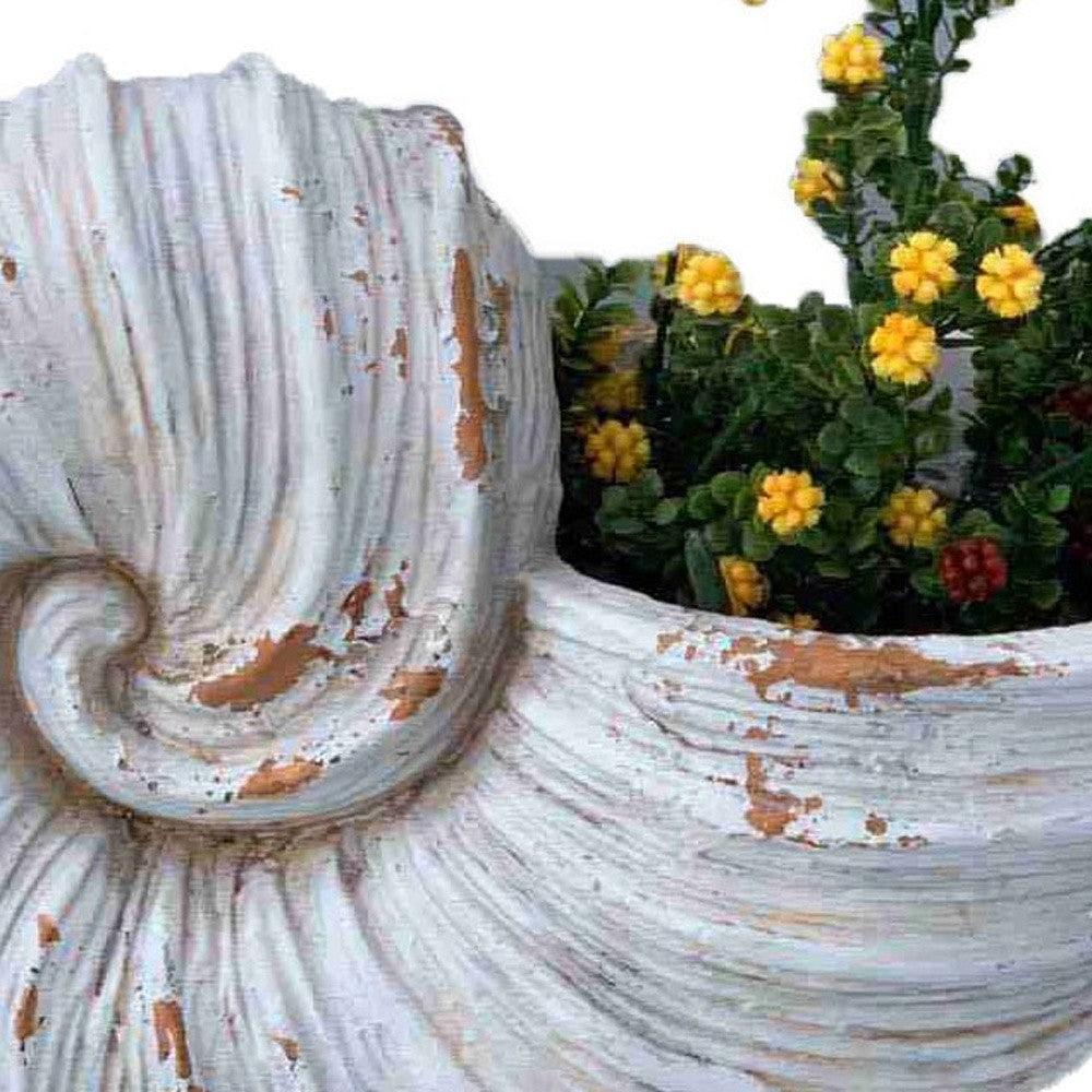 9" Distressed Cream and Terra Cotta Conch Shell Planter - AFS