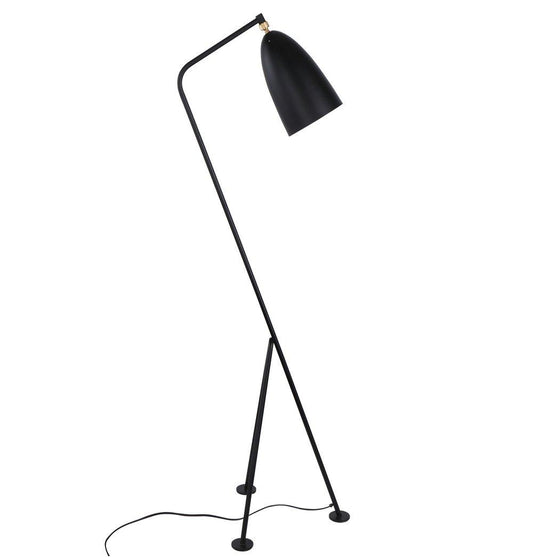 Paulina Floor Lamp